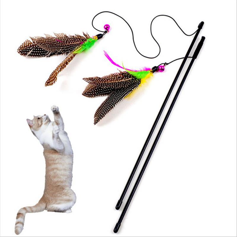 Cat's Interactive Toy Feather